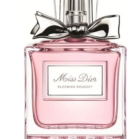 dior the fragrance|dior perfume online shop.